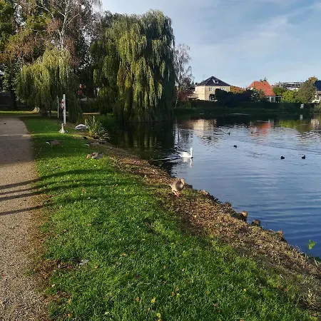 Ana's Bed & Kitchen *