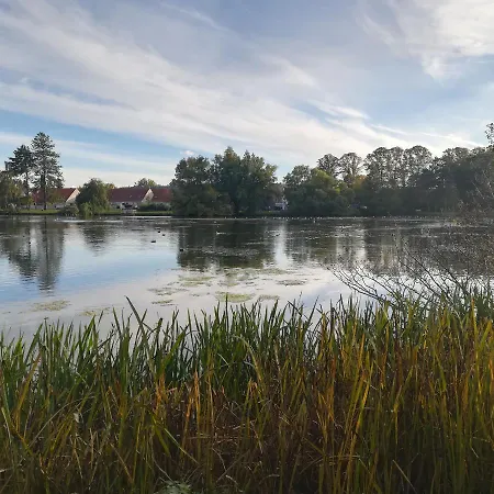 Ana's Bed & Kitchen *