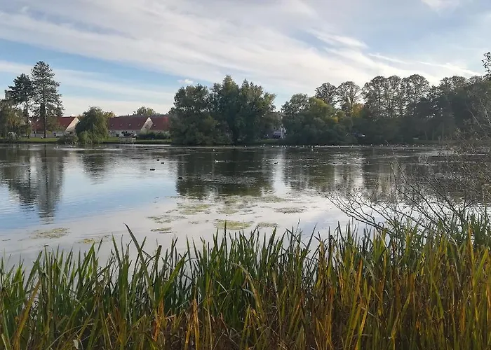 Ana's Bed & Kitchen *