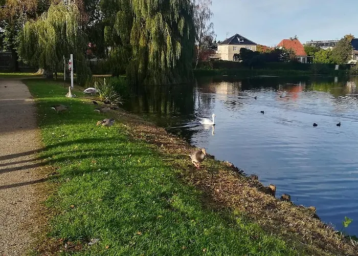 Ana's Bed & Kitchen *